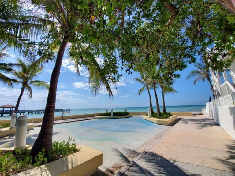 Colorful tropical beach scene with palm trees, clear sky, and ocean view in Key West.