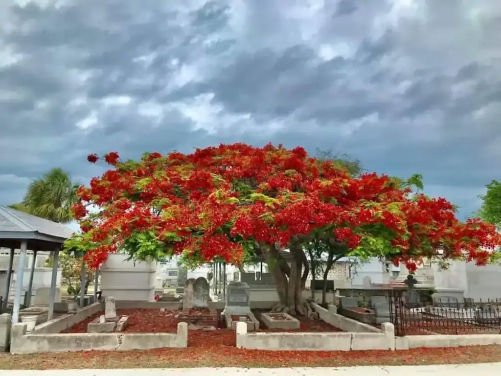 Key West Cemetery