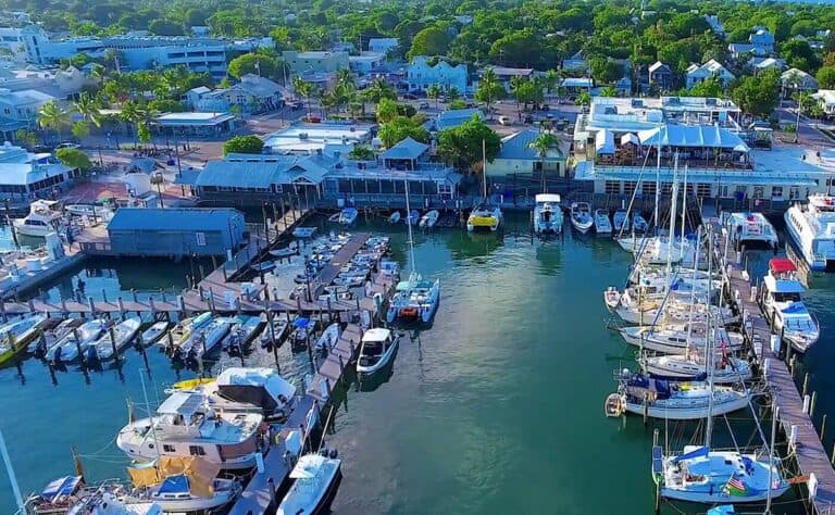 Efficiency of Conch Golf Cart & Scooter Rentals on Key West's waterfront marina.